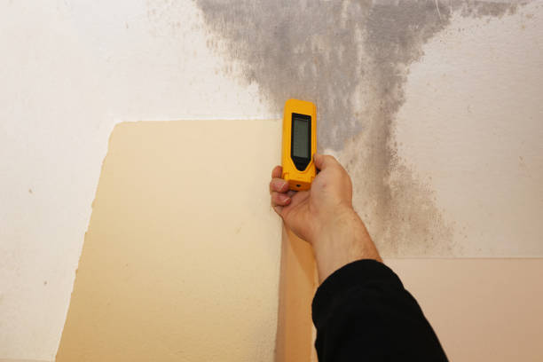 Mold Remediation for Rental Properties in Loganville, PA